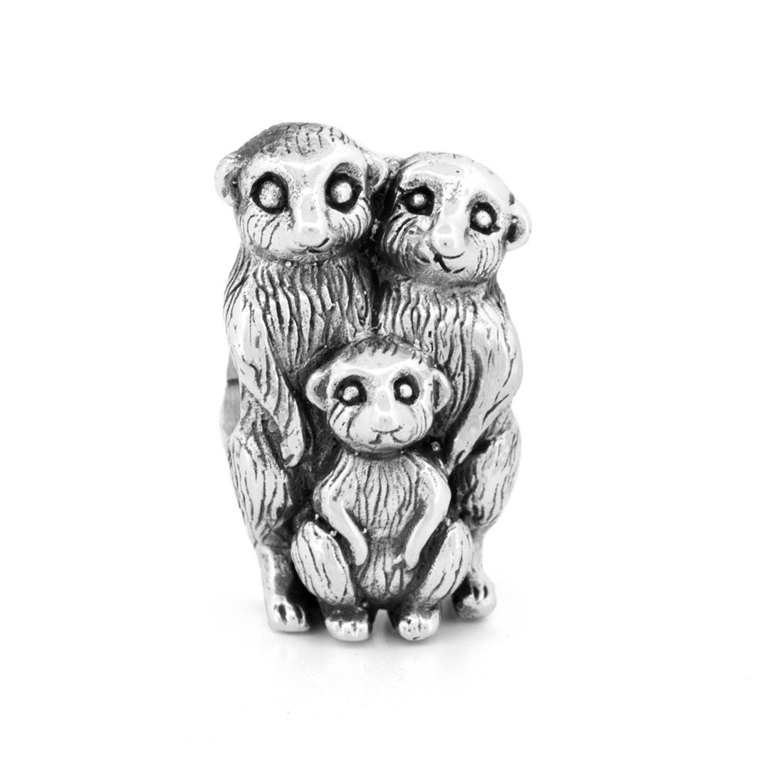 Meerkat Family