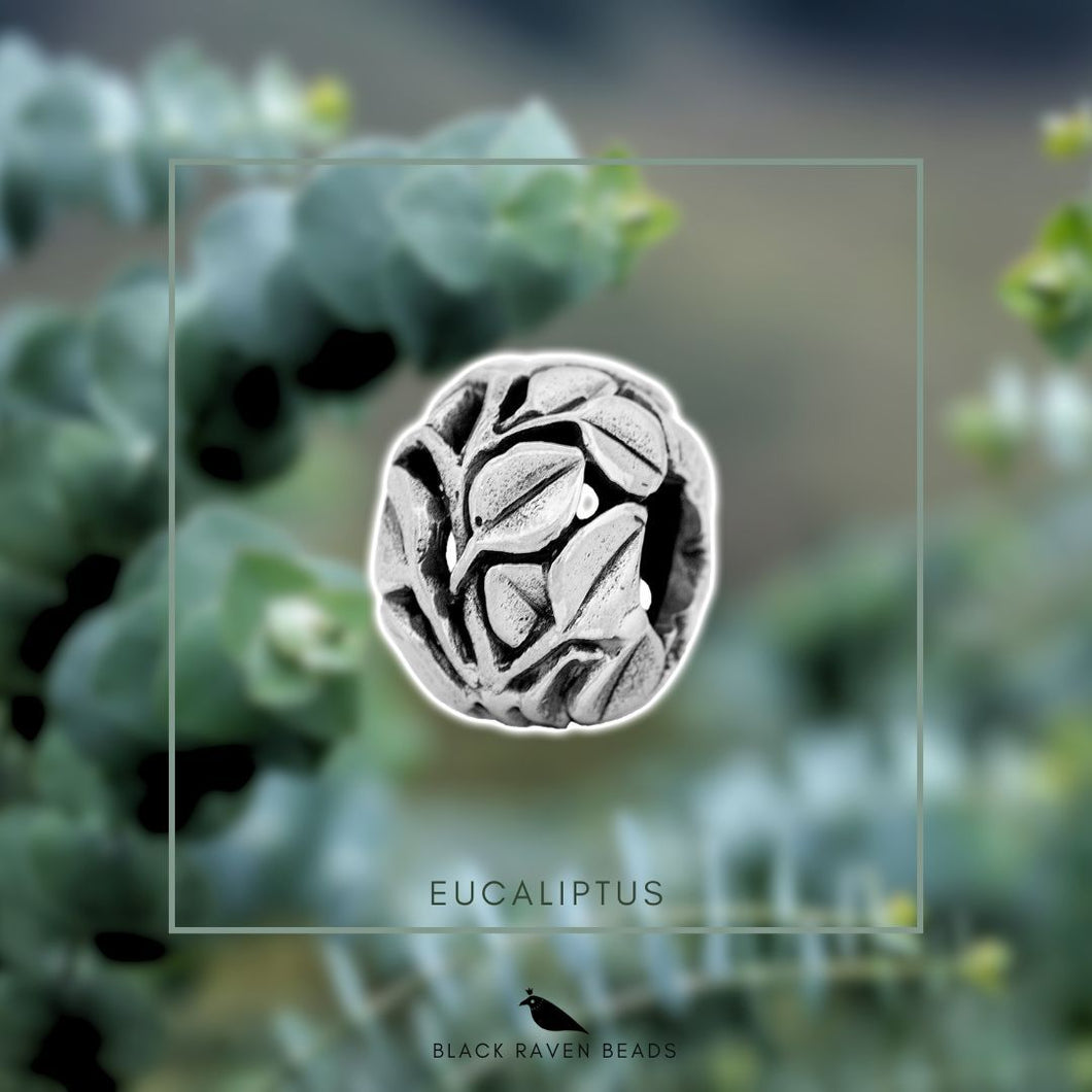 Eucalyptus