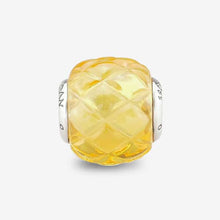 Load image into Gallery viewer, Pineapple Crystalline Charms
