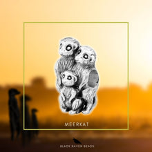 Load image into Gallery viewer, Meerkat Family

