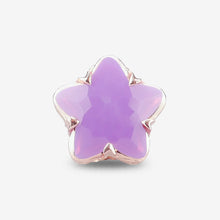 Load image into Gallery viewer, Wishing Star Crystal Charm
