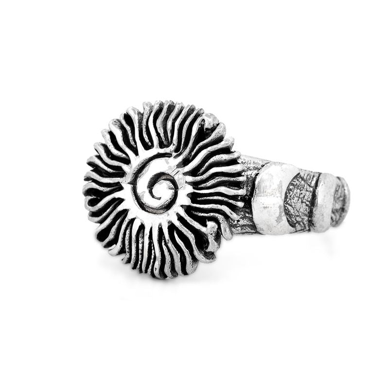 Summer Solstice Ring