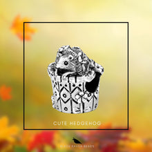 Load image into Gallery viewer, Cute Hedgehog
