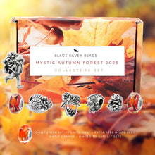 Load image into Gallery viewer, Collector’s Set – Limited Edition
