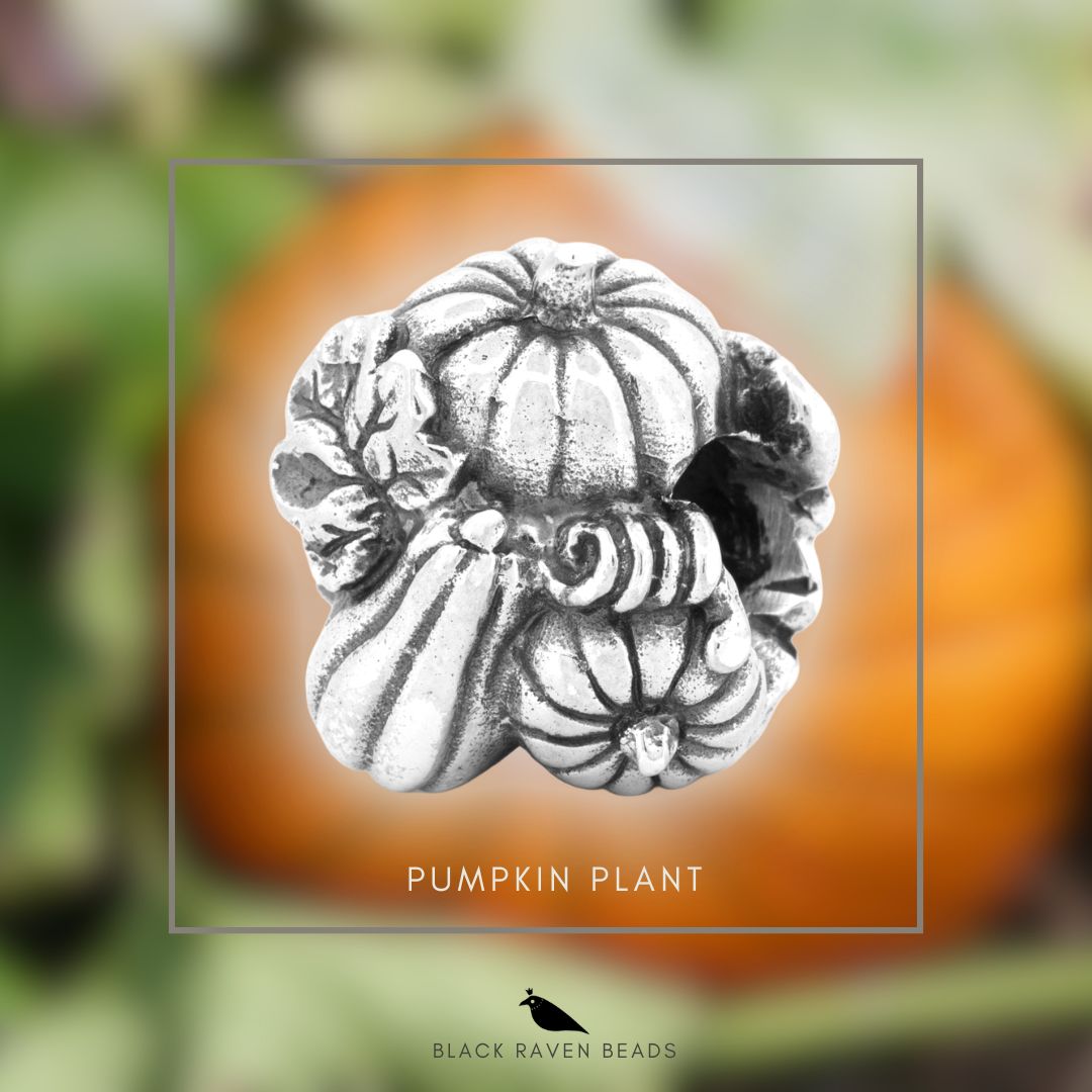 Pumpkin Plant