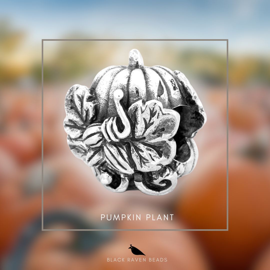 Pumpkin Plant