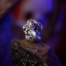 Load image into Gallery viewer, Skullfog
