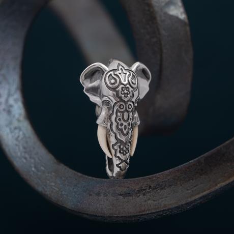 Indian Elephant with tusks and black diamonds