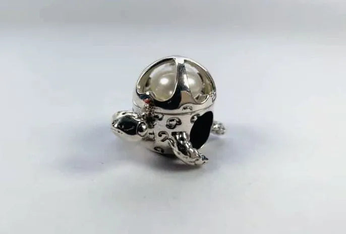 Treasure Turtle