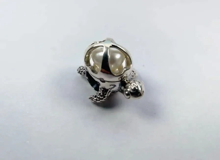 Treasure Turtle