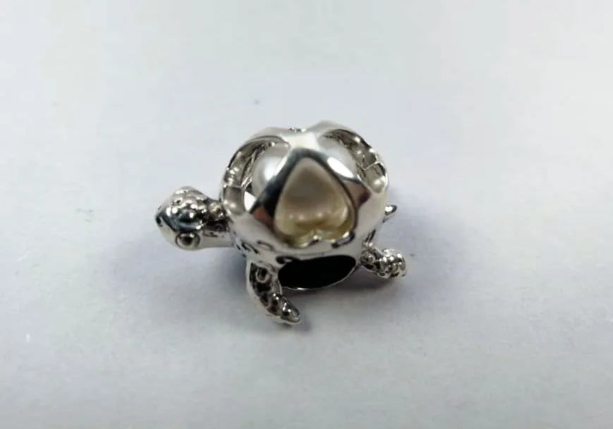 Treasure Turtle