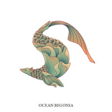 Load image into Gallery viewer, Ocean Begonia
