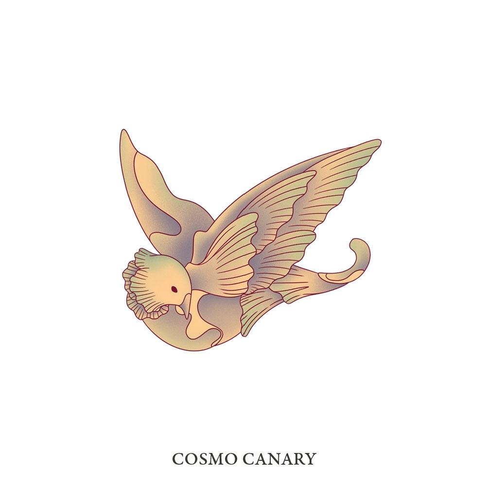 Cosmo Canary