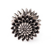 Load image into Gallery viewer, Chrysanthemum
