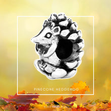 Load image into Gallery viewer, Pinecone Hedgehog
