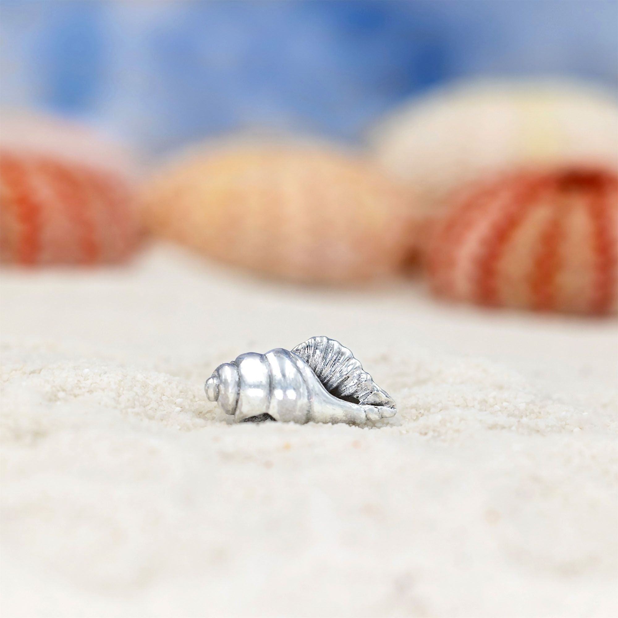 Conch Shell