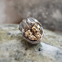 Load image into Gallery viewer, Magic nut Crackatook bicolor bead

