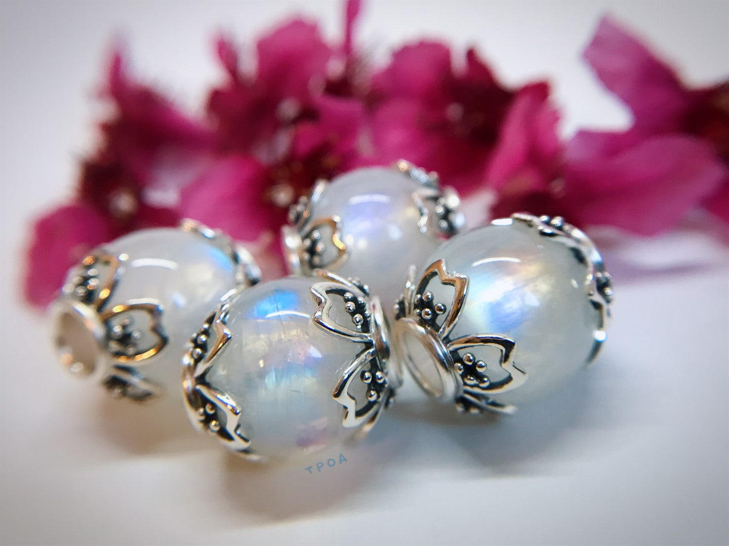 Moonlight Sonata-Sakura Movement