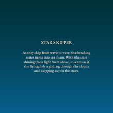 Load image into Gallery viewer, Star Skipper
