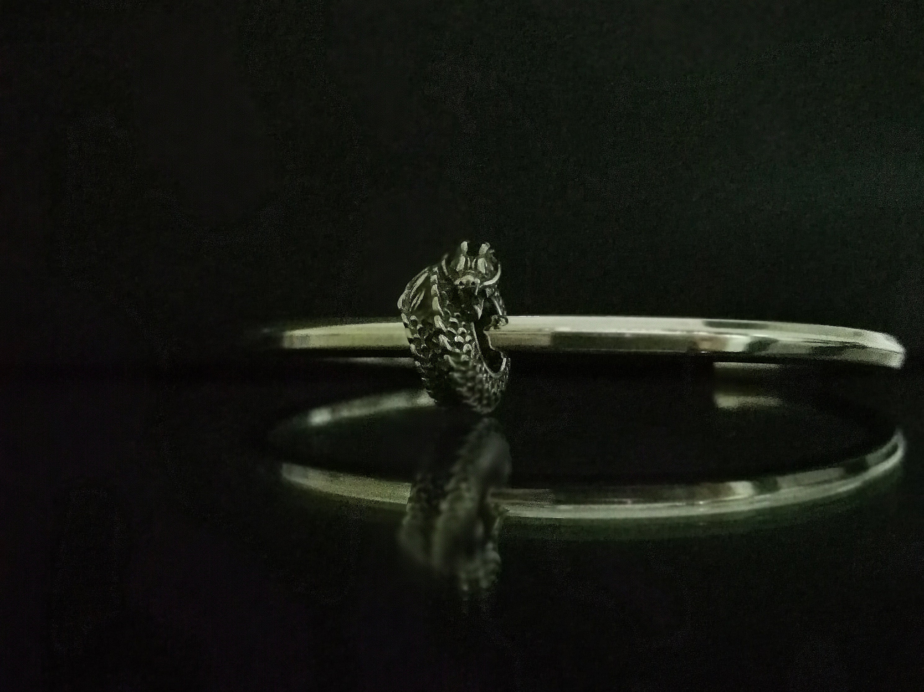 Naga Stopper Head Left of a Body