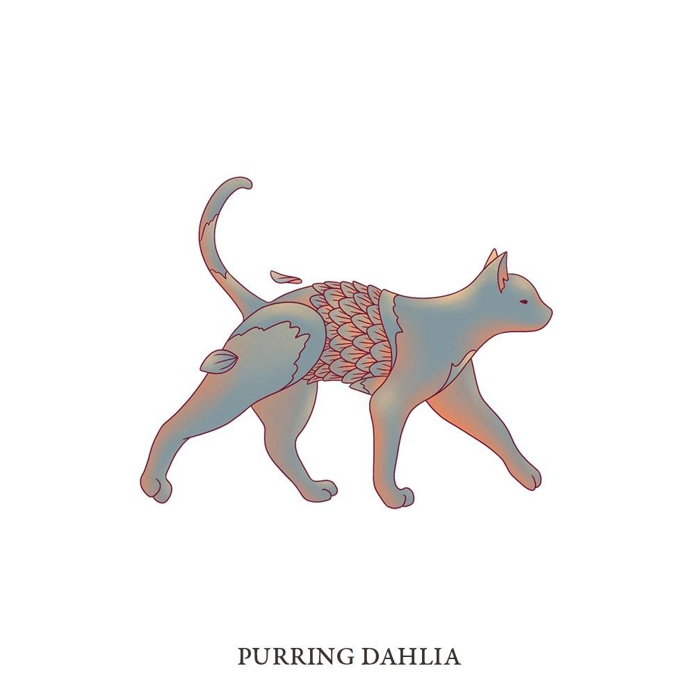 Purring Dahlia