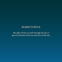 Load image into Gallery viewer, Elder Turtle
