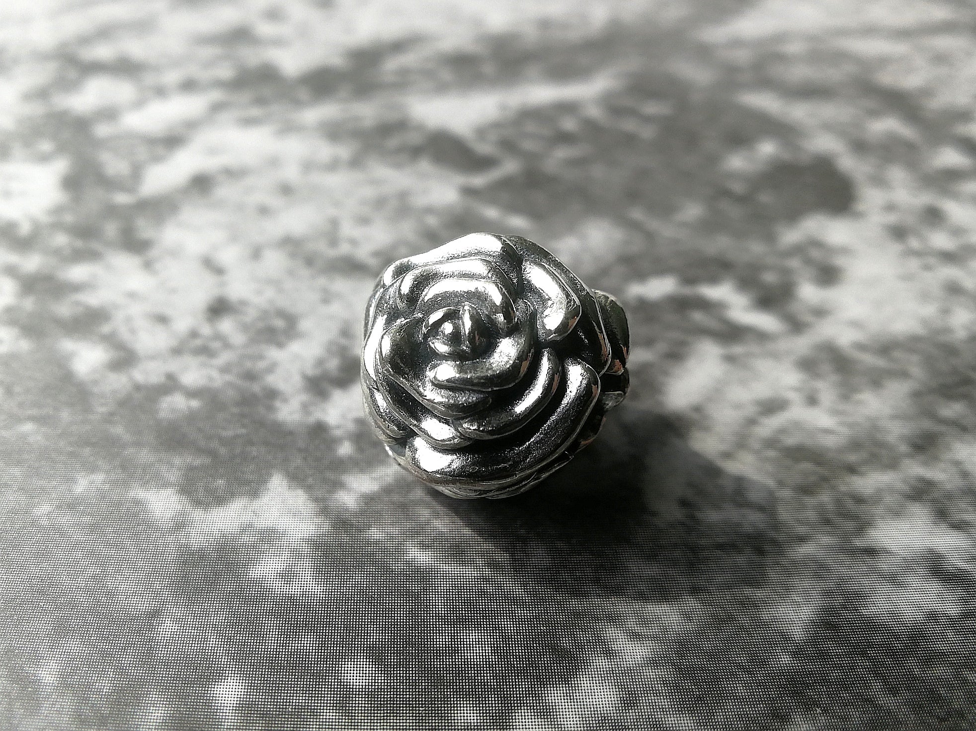 Rosa Clip