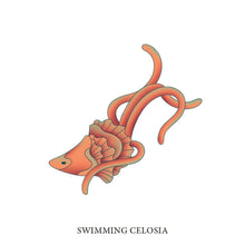 Load image into Gallery viewer, Swimming Celosia
