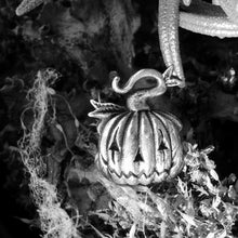 Load image into Gallery viewer, Salem the Pumpkin
