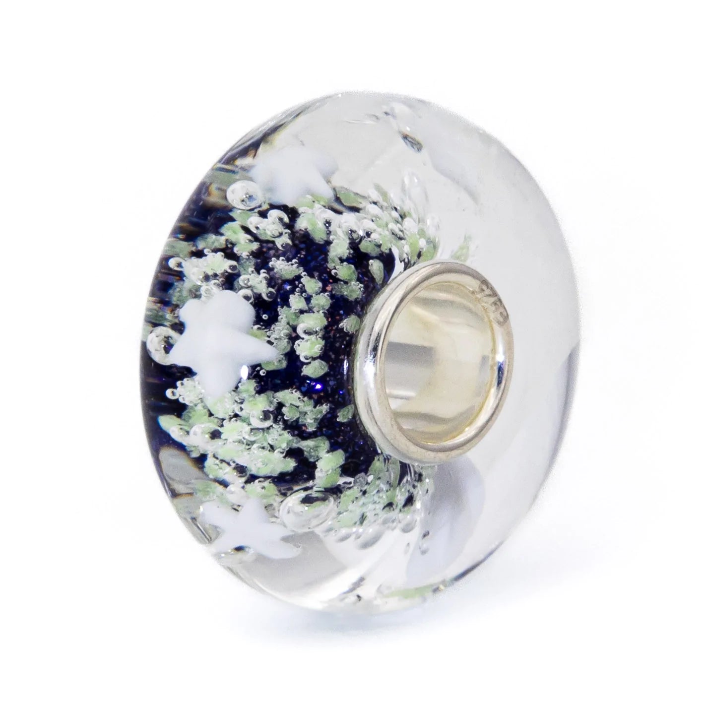 Star Aurora Starlight