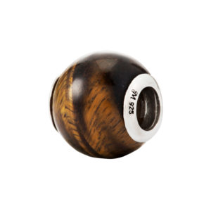 Tiger Eye – Protection