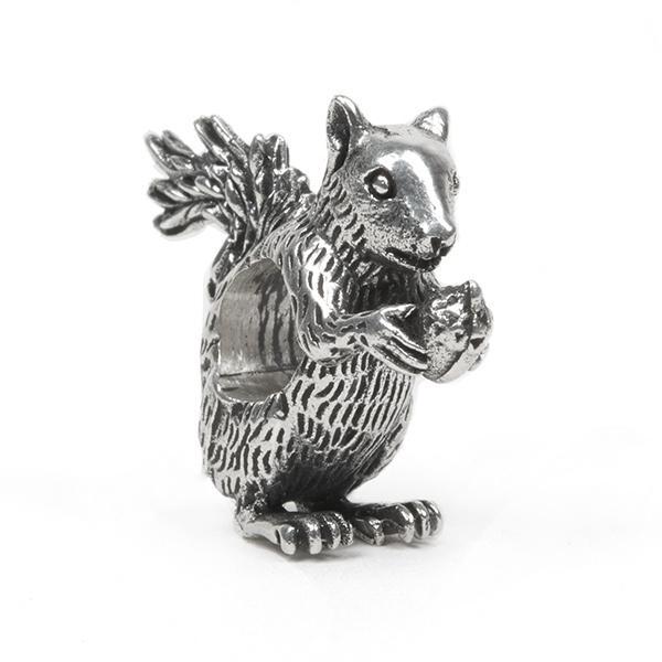 Bushy Tail Squirrel