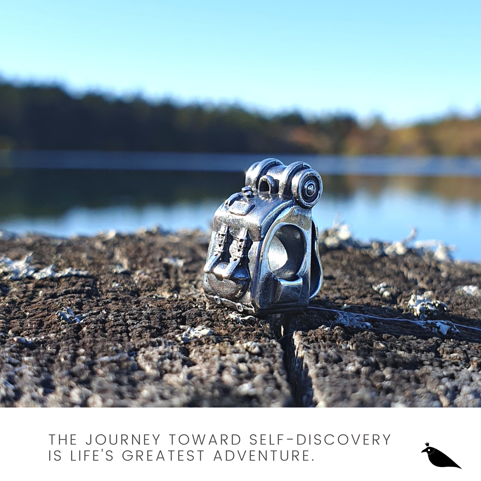 Big Journey Backpack