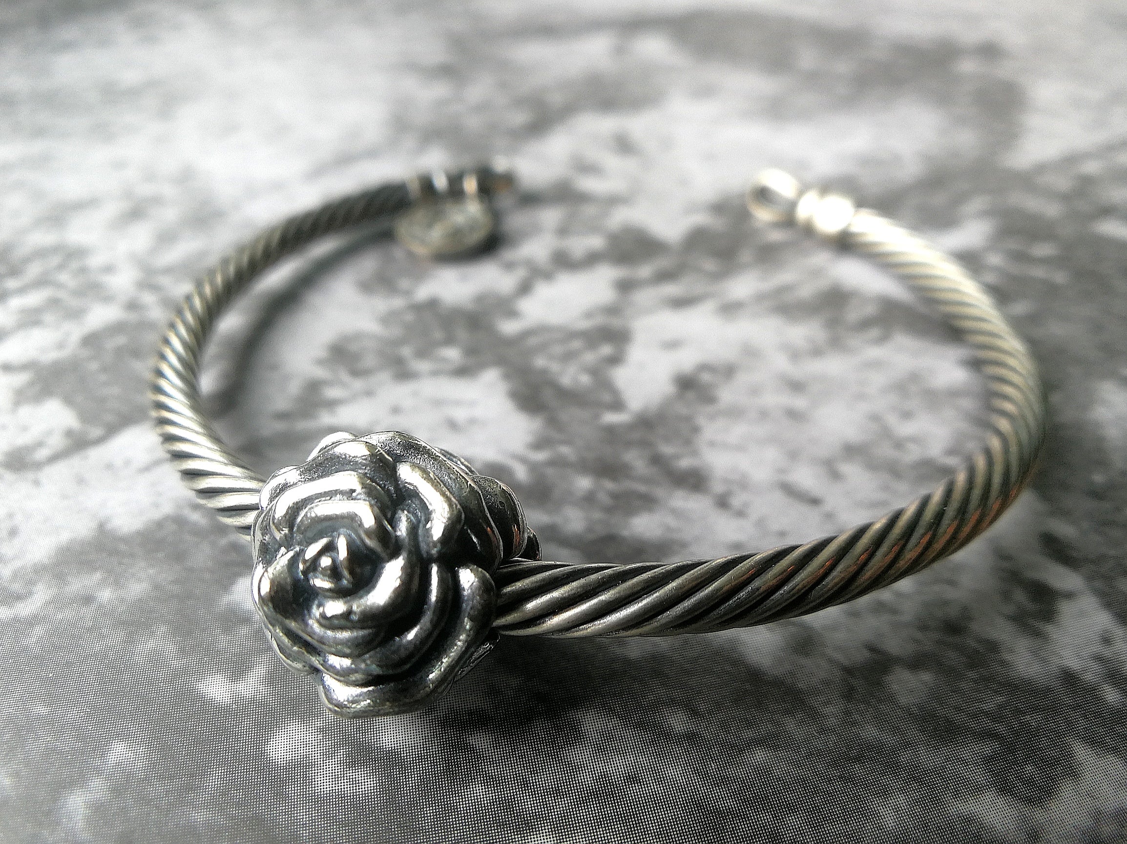 Rosa Clip